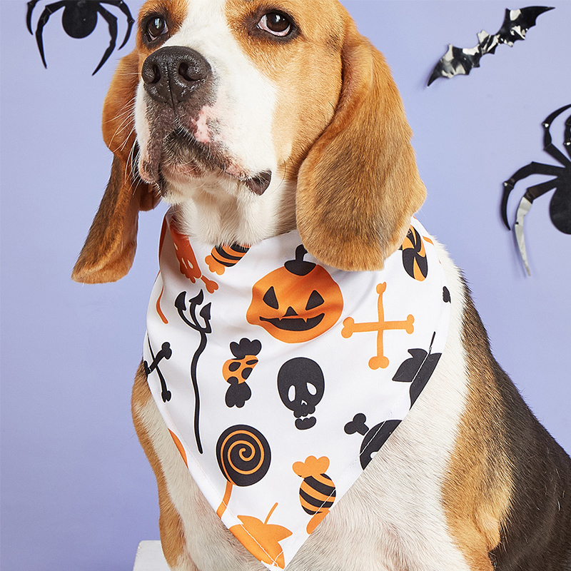 Cute Doggy Halloween Costume with Spooky Ghost Bib Cozy Pet Wear
