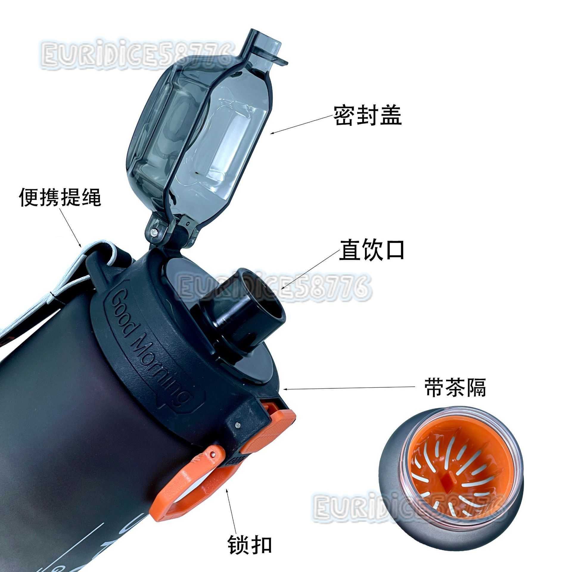 New Outdoor Sports Water Bottle with Tea Infuser Portable Plastic Cup Fashion Gradient Color Matte Leakproof Space Cup H250911