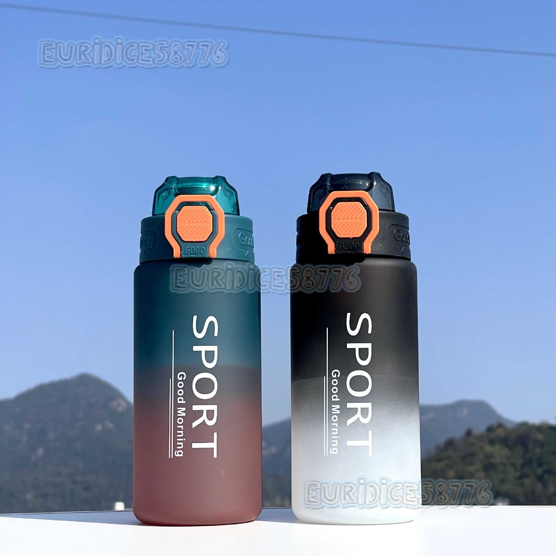 New Outdoor Sports Water Bottle with Tea Infuser Portable Plastic Cup Fashion Gradient Color Matte Leakproof Space Cup H250911