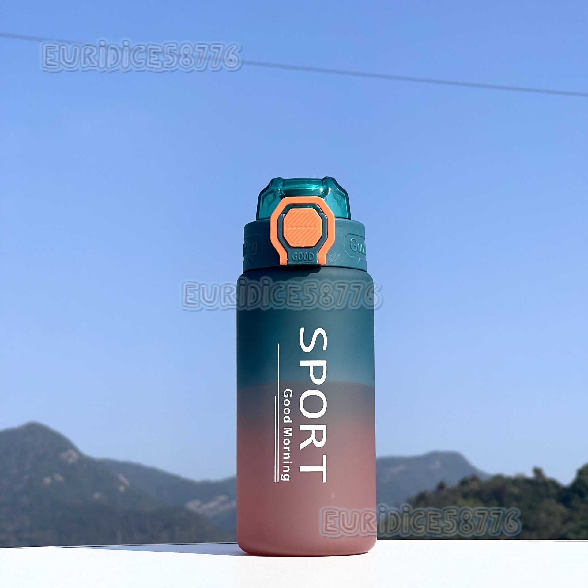 New Outdoor Sports Water Bottle with Tea Infuser Portable Plastic Cup Fashion Gradient Color Matte Leakproof Space Cup H250911