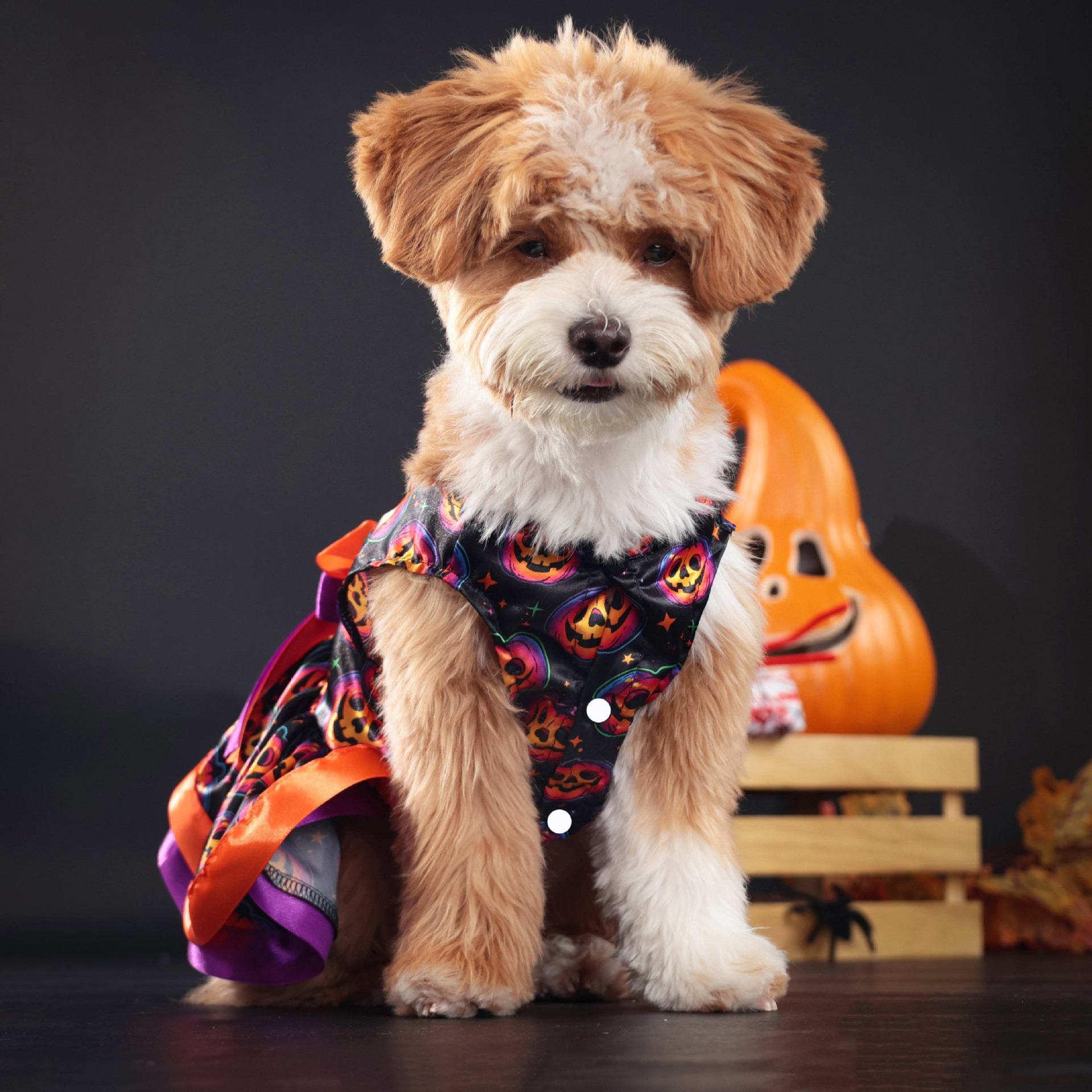 Halloween Dog Dress with Pumpkin & Skull Prints, Mesh Skirt & Big Bowknot, Festive Party Costume, for Dogs 2-14kg, Perfect for Halloween Parties, Them