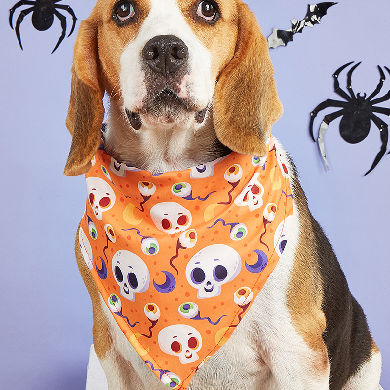Halloween themed pet bib featuring an orange skull design