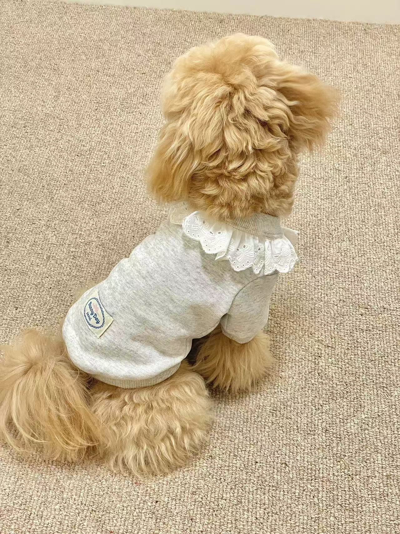 T1187 Autumn and winter clothes for small dogs, Teddy small dogs, pet cat princess cute warm shirt sweater fake two-piece