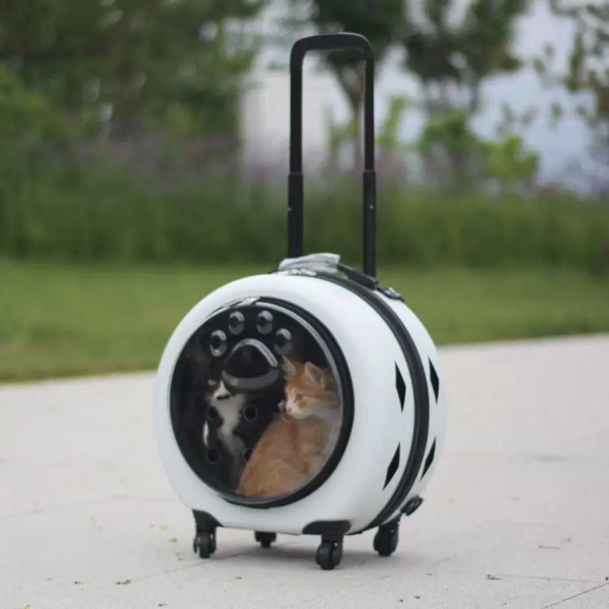 Pet suitcase, transparent cat bag pet carrier portable outdoor box, cat and dog bag cart, small pet suitcase