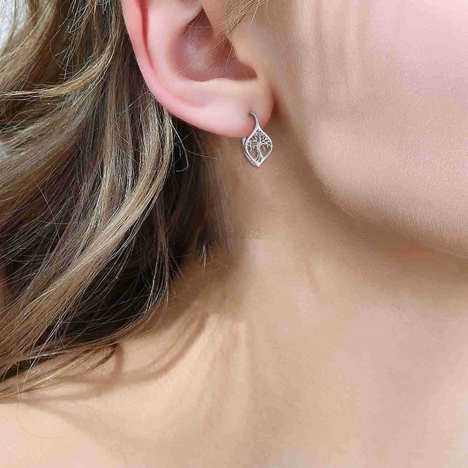 Earring for Women Sterling Silver Dangle Drop Hoop Earrings for Women Birthday Anniversary Christmas GiftsW250911