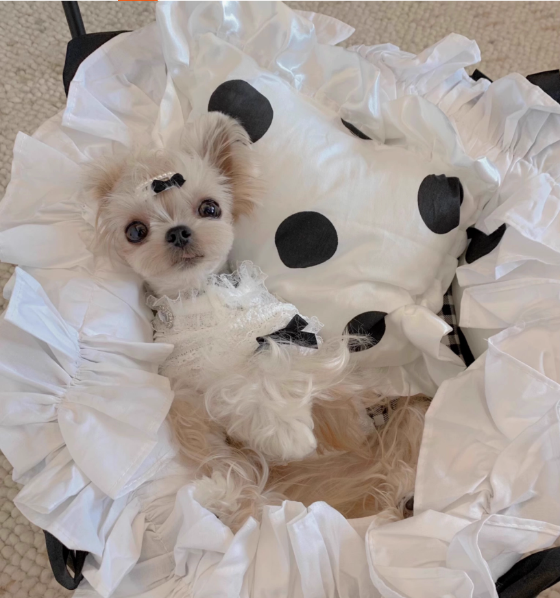 Breed-Specific Canine/Cattie Resting Platform with Detachable Fabric Pillow Ideal for Companion Animals