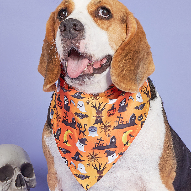 Halloween Orange Ghost Bib Festive Pet Fashion Spooktacular Orange Ghost Plush Bib