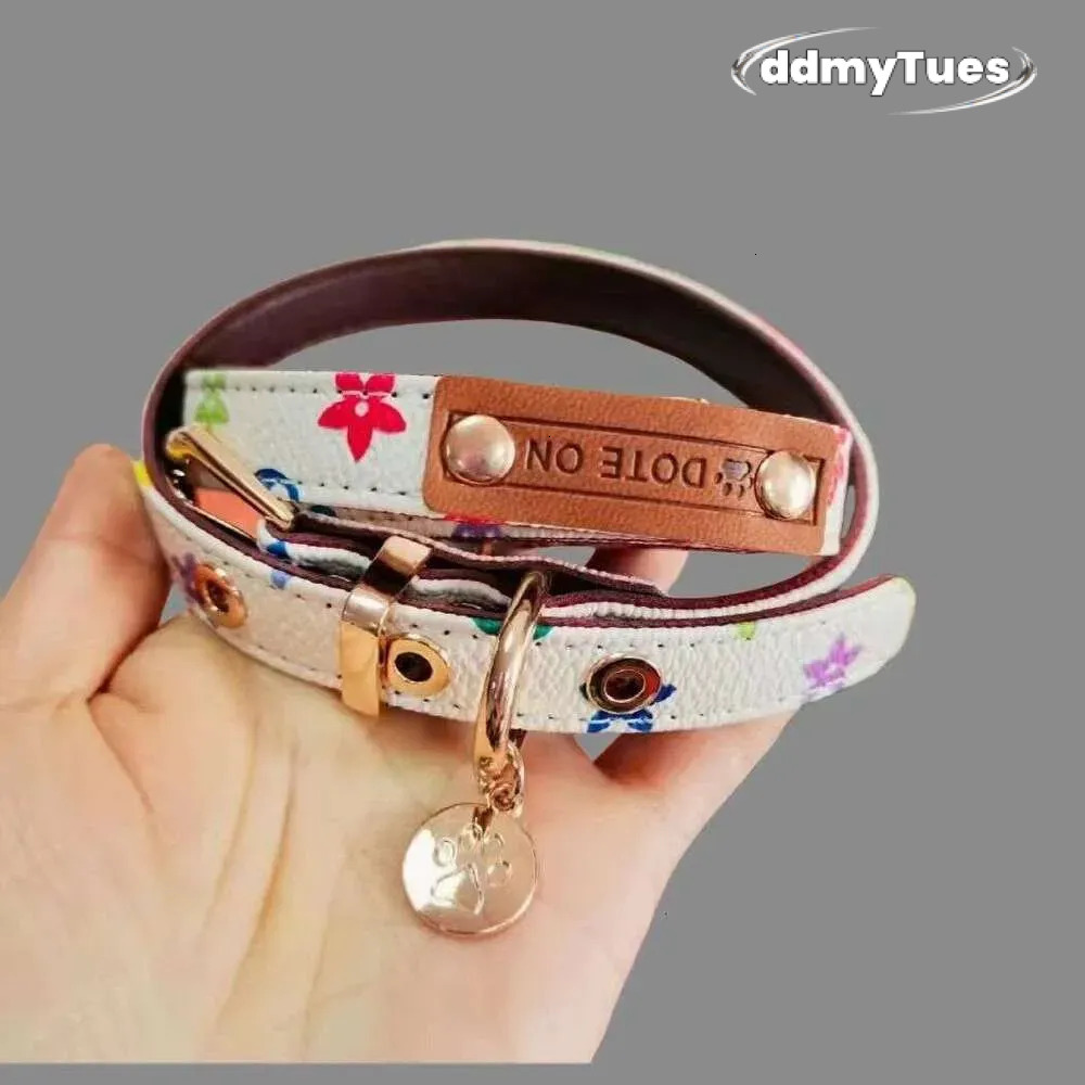 Adjustable Dog Collar with Leash Set: Durable Pet Neck Belt Traction Rope for Small to Large Dogs and Cats TUES