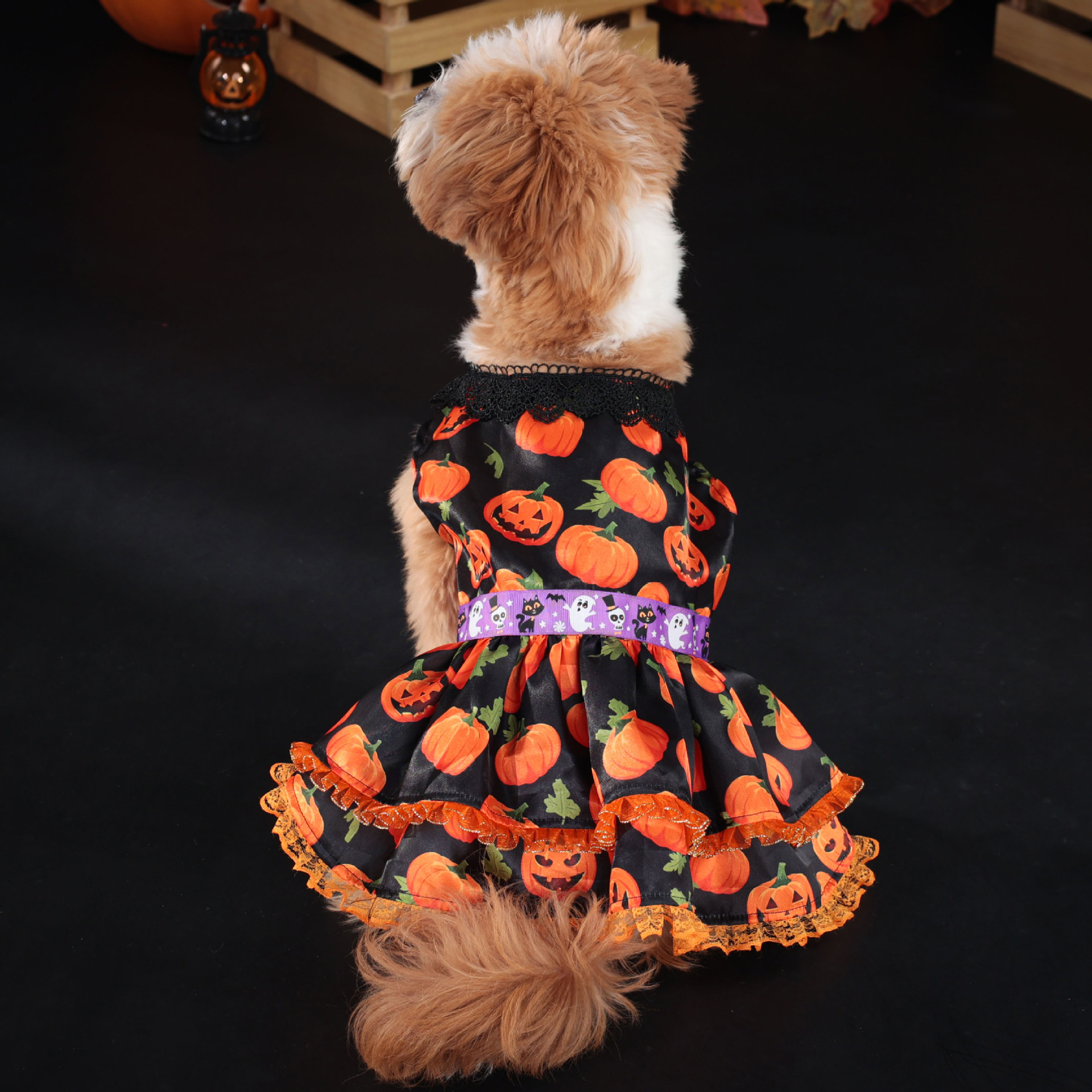 Halloween Pumpkin Print Dog Dress with Lace Trims, Festive Party Costume for Dogs, 4 Sizes (S-XL) for Dogs 2-14kg, Perfect for Halloween Parties, Them