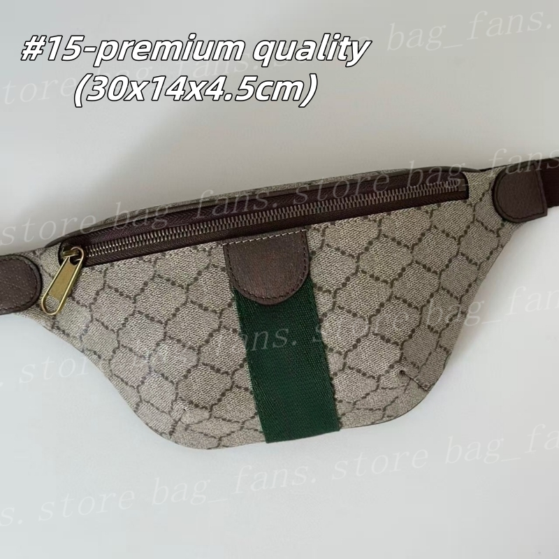 (go off picture not the description) 10A Premium Designer Shoulder Bags Women's Small Purses Outdoor Casual Style Fashion Festival Gifts 20933 26147