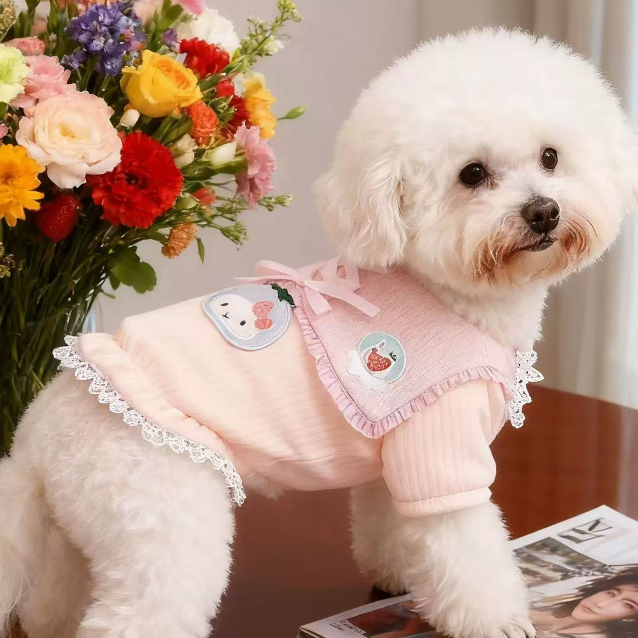 T1188 Autumn and winter pet dog clothes Teddy Bichon Pomeranian small dog plus velvet warm two-legged clothes hooded sweatshirt transformation clothes