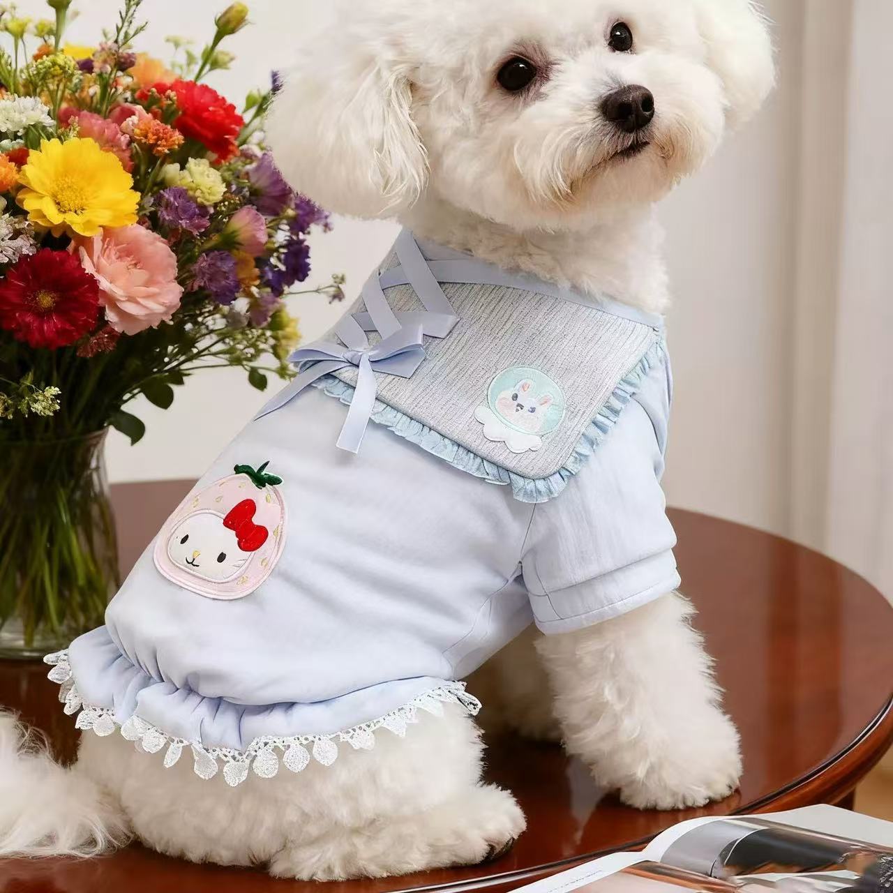 T1188 Autumn and winter pet dog clothes Teddy Bichon Pomeranian small dog plus velvet warm two-legged clothes hooded sweatshirt transformation clothes