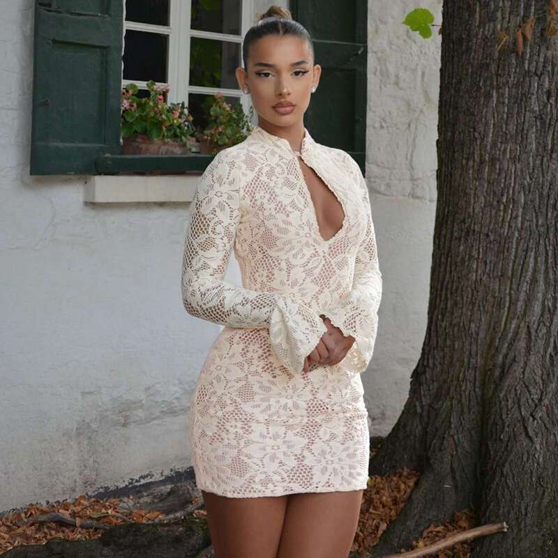 2025 Winter Women's New Fashion Sexy Lace Hollow Out Bodycon Fld Sleeve Dress