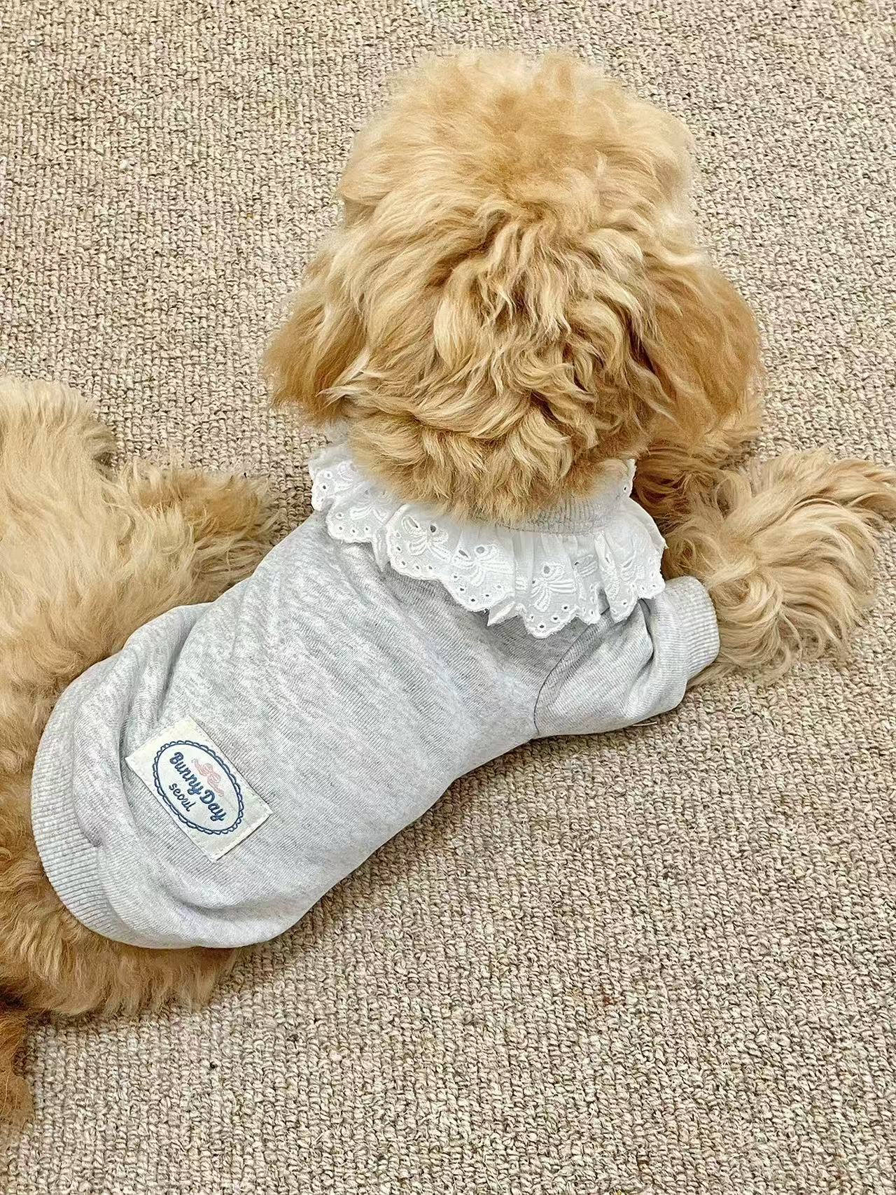 T1187 Autumn and winter clothes for small dogs, Teddy small dogs, pet cat princess cute warm shirt sweater fake two-piece