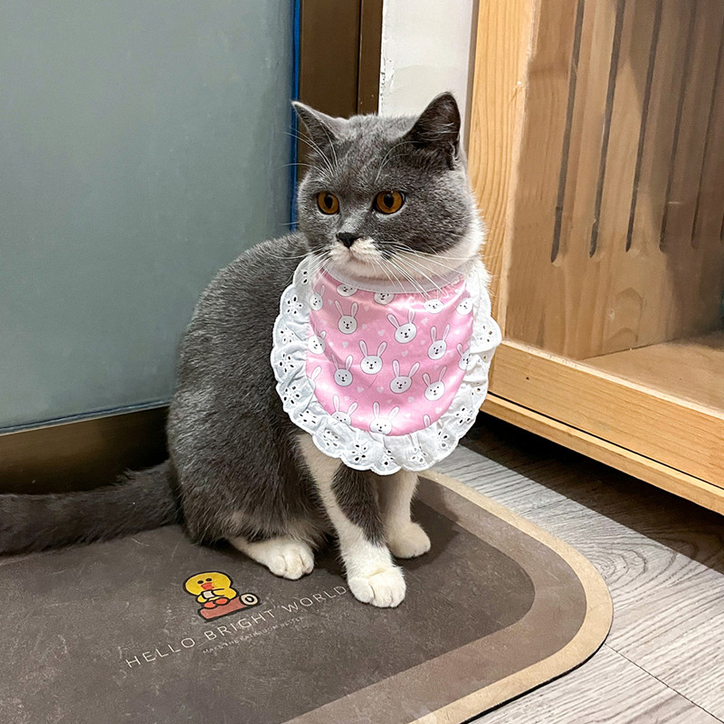 Fall Fashion Single Cute Print Pet Drool Towel Cat Drool Towel