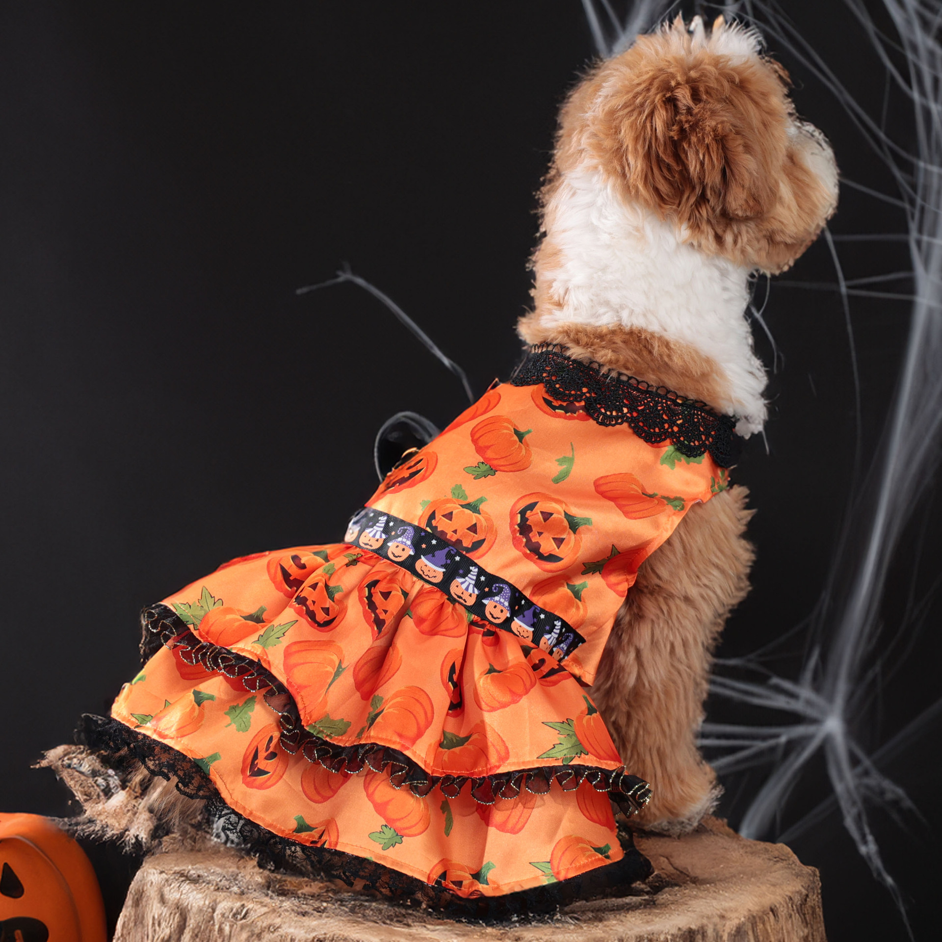 Halloween Pumpkin Print Dog Dress with Lace Trims, Festive Party Costume for Dogs, 4 Sizes (S-XL) for Dogs 2-14kg, Perfect for Halloween Parties, Them