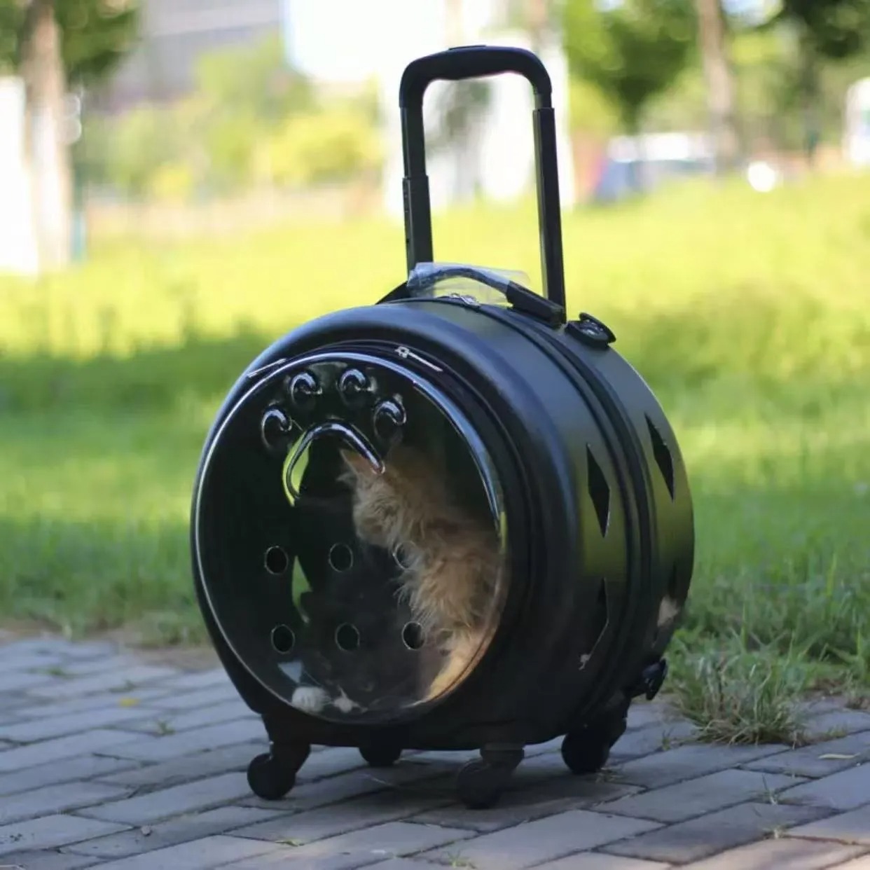 Pet suitcase, transparent cat bag pet carrier portable outdoor box, cat and dog bag cart, small pet suitcase