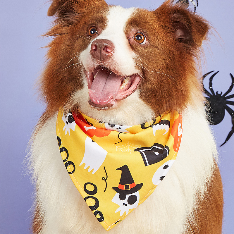Halloween Themed Halloween Dog Costume Accessory Spooky Pet Bib