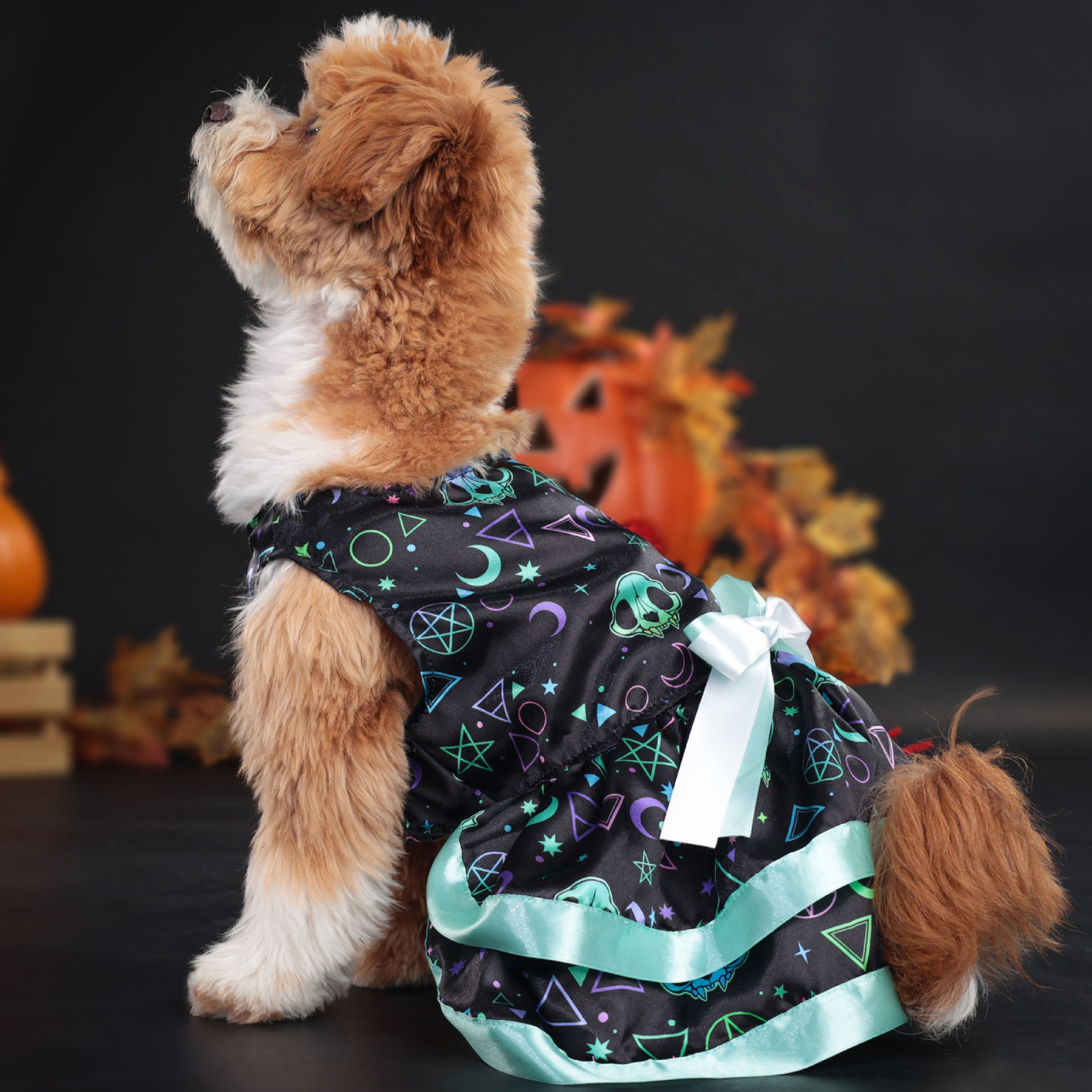 Halloween Dog Dress with Pumpkin & Skull Prints, Mesh Skirt & Big Bowknot, Festive Party Costume, for Dogs 2-14kg, Perfect for Halloween Parties, Them