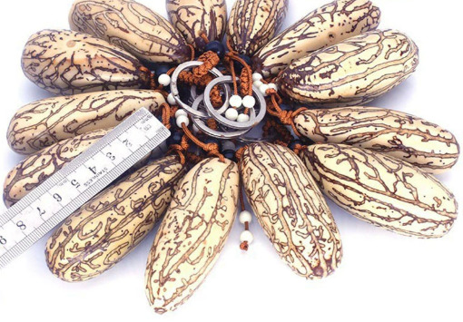 Pure Natural, Thousand Eyes, Bodhi Seed Hanging, Key Links Hanging Parts, Handicraft Collections (one piece)