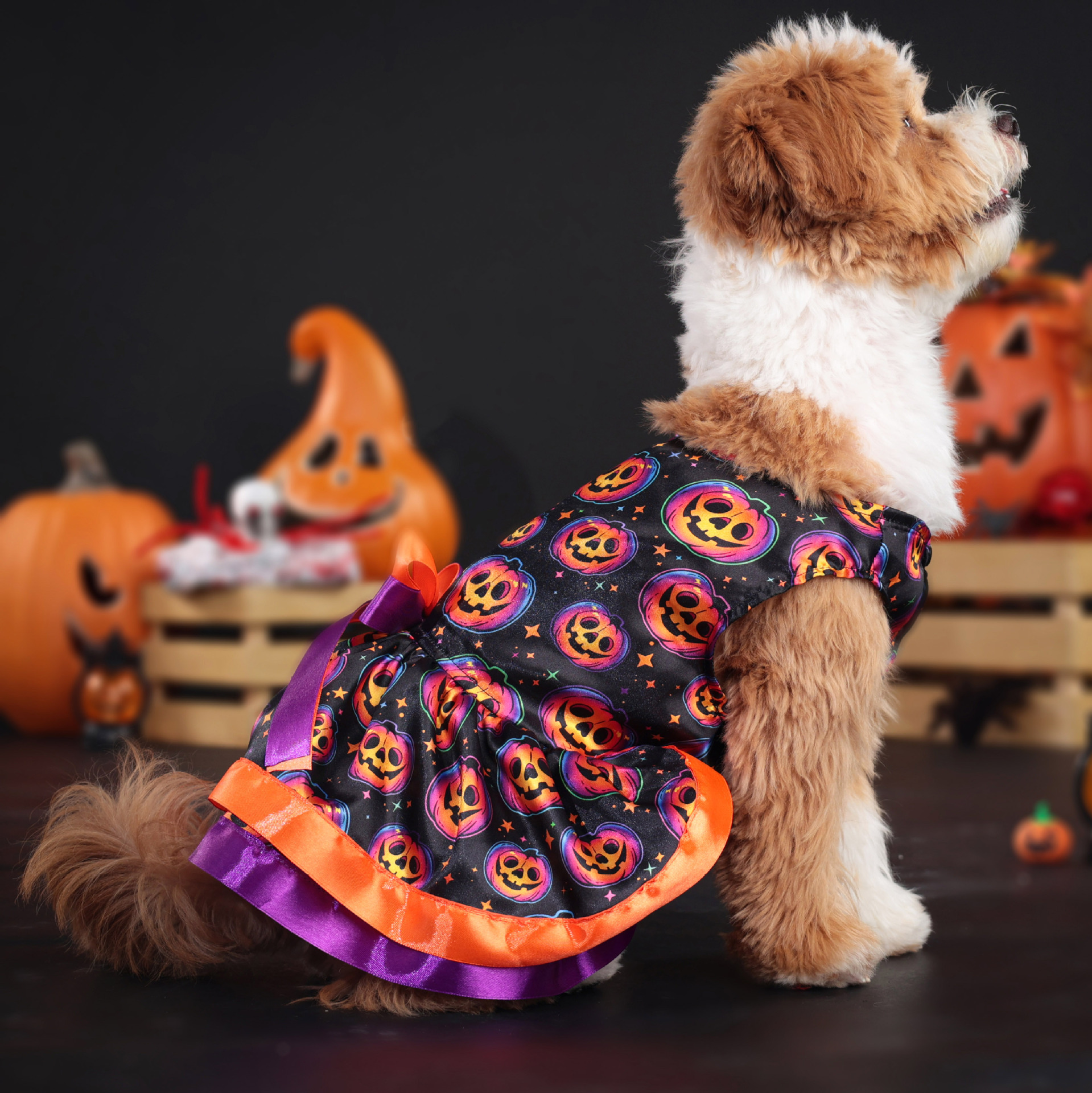 Halloween Dog Dress with Pumpkin & Skull Prints, Mesh Skirt & Big Bowknot, Festive Party Costume, for Dogs 2-14kg, Perfect for Halloween Parties, Them