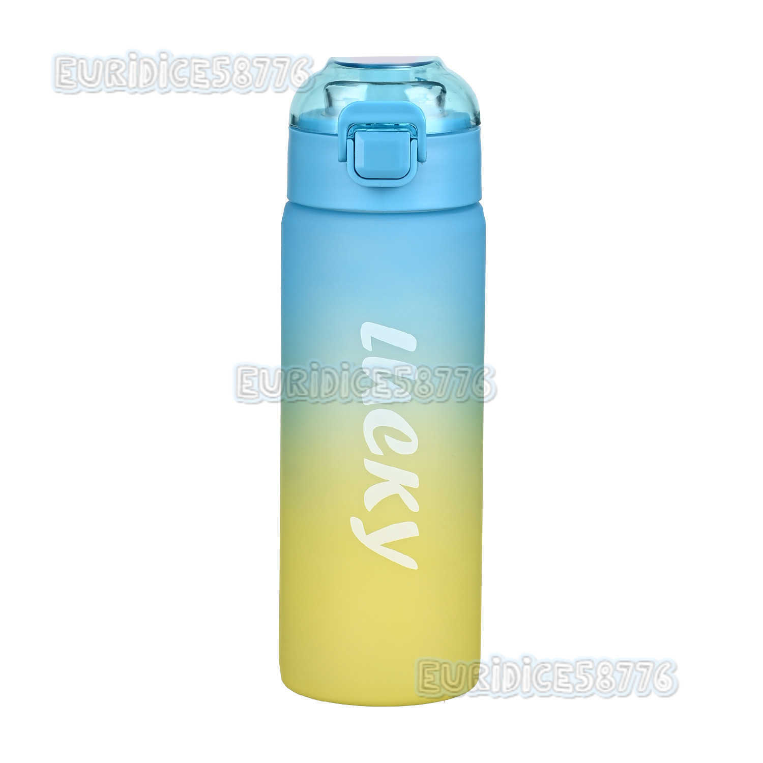 Temu Sports Water Bottle Highend Matte Gradient Color Water Cup Outdoor Portable Water Bottle H250911