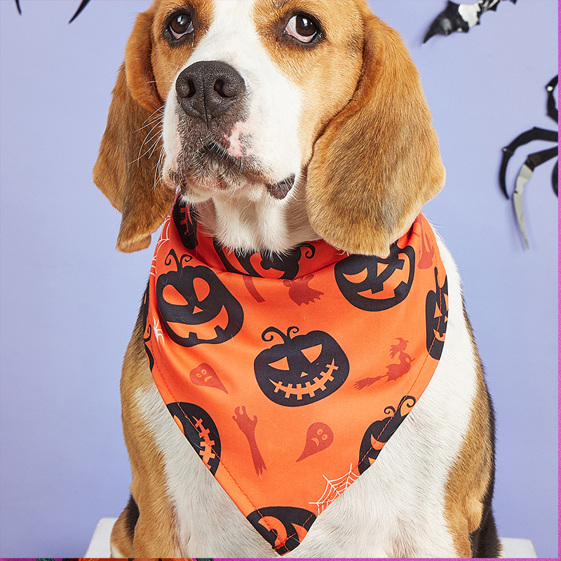Halloween themed pet bib with an evil pumpkin design