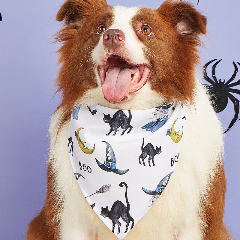 Adorable Halloween Ghost Costume with Bib Comfy Pet Outfit for Dogs