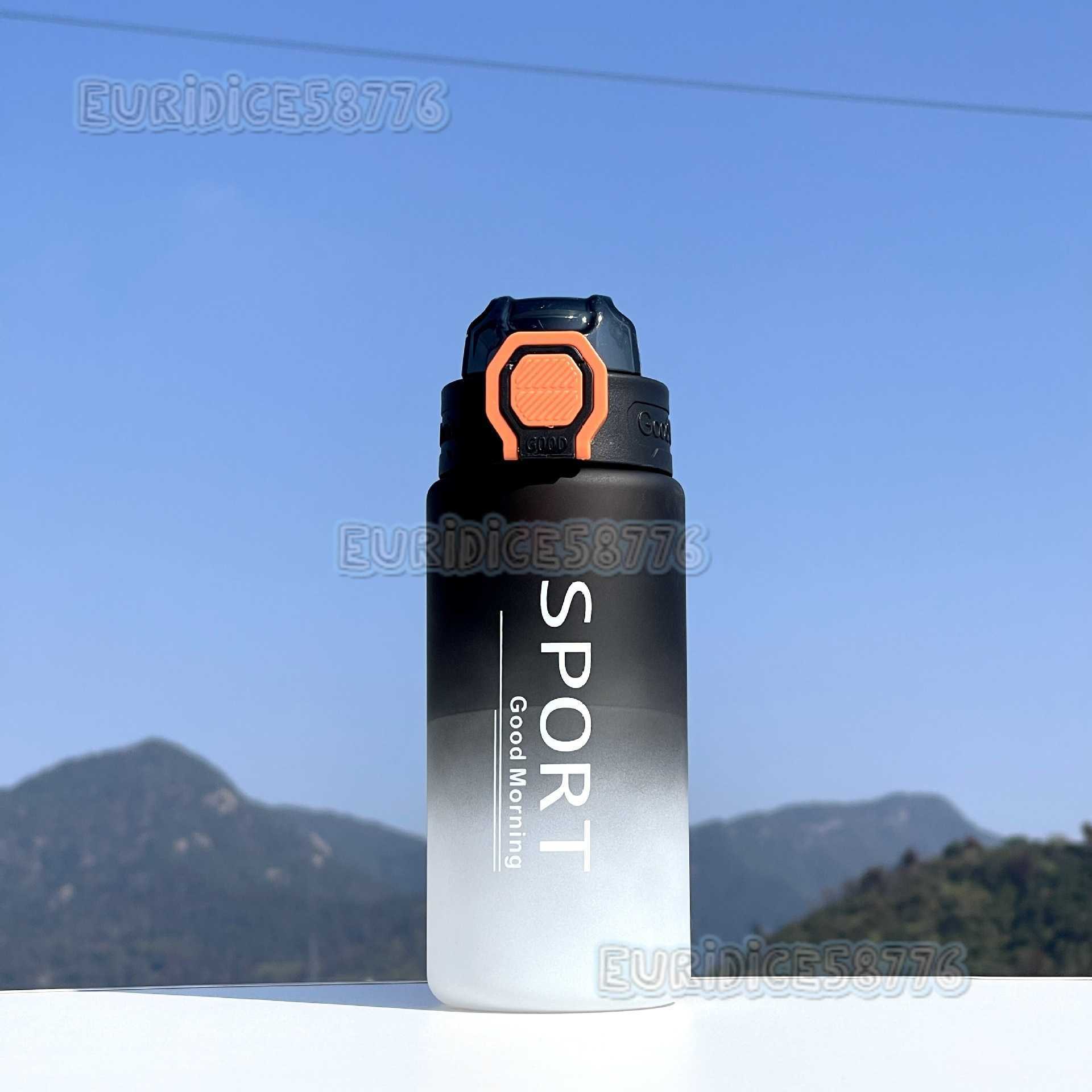 New Outdoor Sports Water Bottle with Tea Infuser Portable Plastic Cup Fashion Gradient Color Matte Leakproof Space Cup H250911