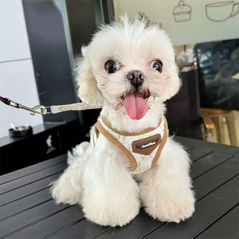 Luxury Pet dog chest harness collar suit leather trendy brand French bulldog Corgi Schnauzer traction rope chest vest cat three-piece set