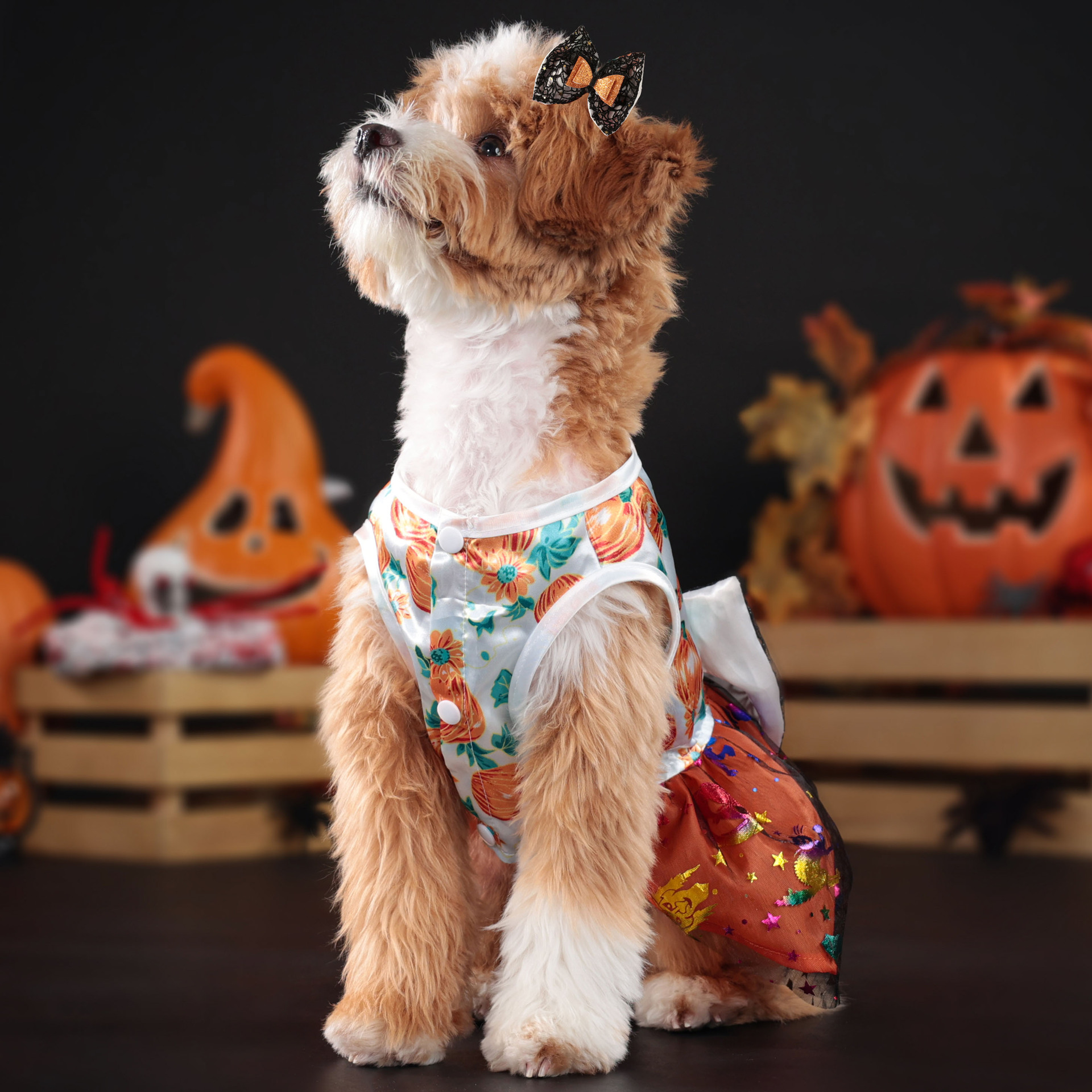 Halloween Dog Dress with Pumpkin Skull Prints Mesh Skirt & Big Bowknot Festive Party Costume for Dogs 1.5-14kg Perfect for Halloween Parties Themed Ev