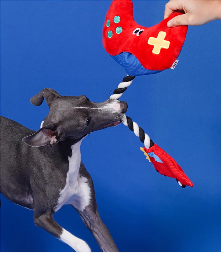 Small Teddy Pet Friendly Durably Crafted Rope Knot Perfect Teething & Interactive Tugging Tool