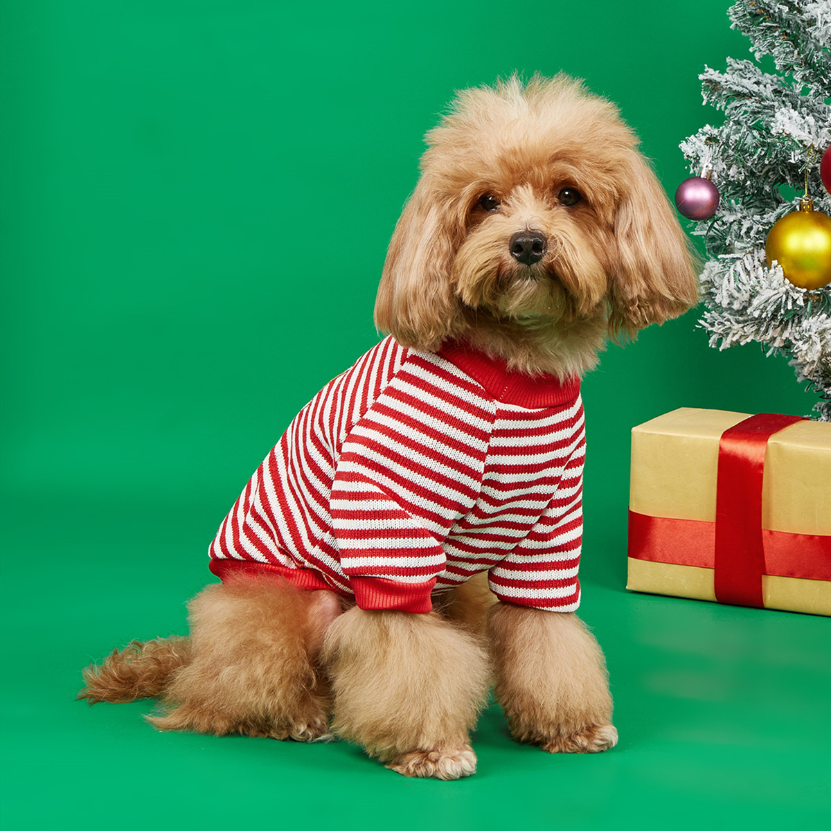 Festive Fall Pet Sweater for Dogs Cozy Holiday Outfit Christmas Essentials