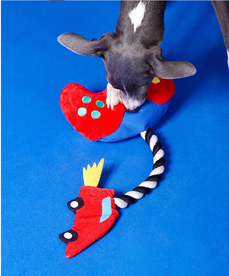 Small Teddy Pet Friendly Durably Crafted Rope Knot Perfect Teething & Interactive Tugging Tool