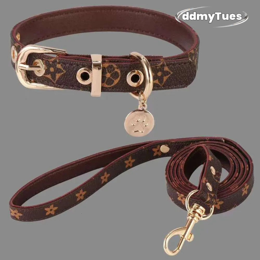 Adjustable Dog Collar with Leash Set: Durable Pet Neck Belt Traction Rope for Small to Large Dogs and Cats TUES