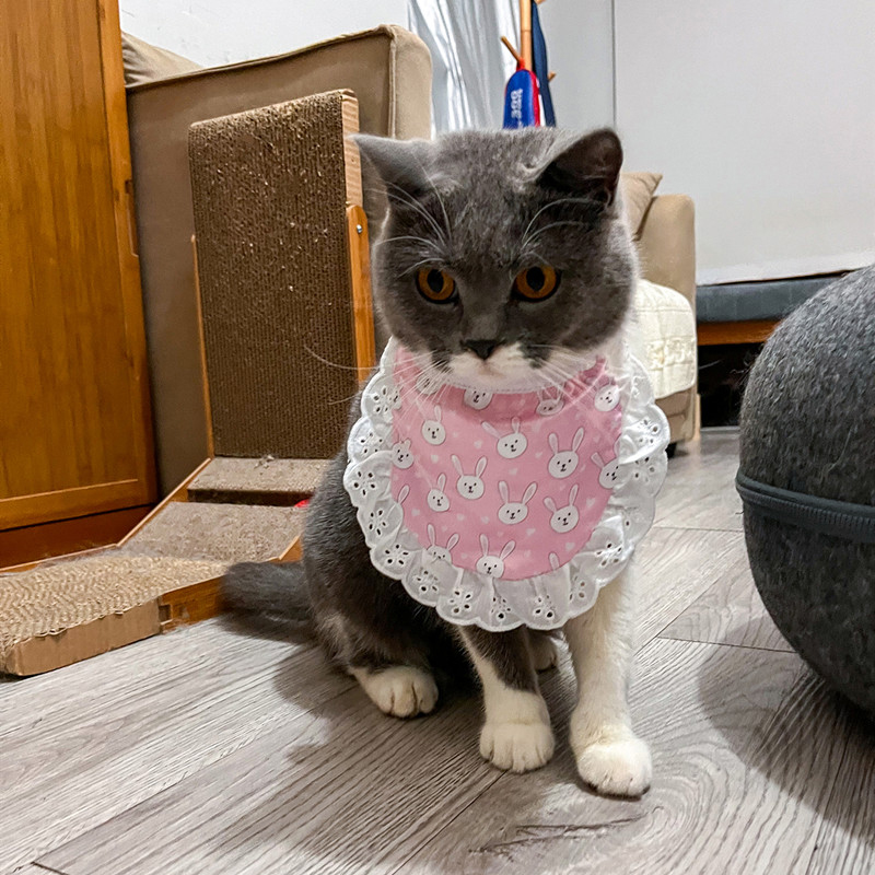 Fall Fashion Single Cute Print Pet Drool Towel Cat Drool Towel