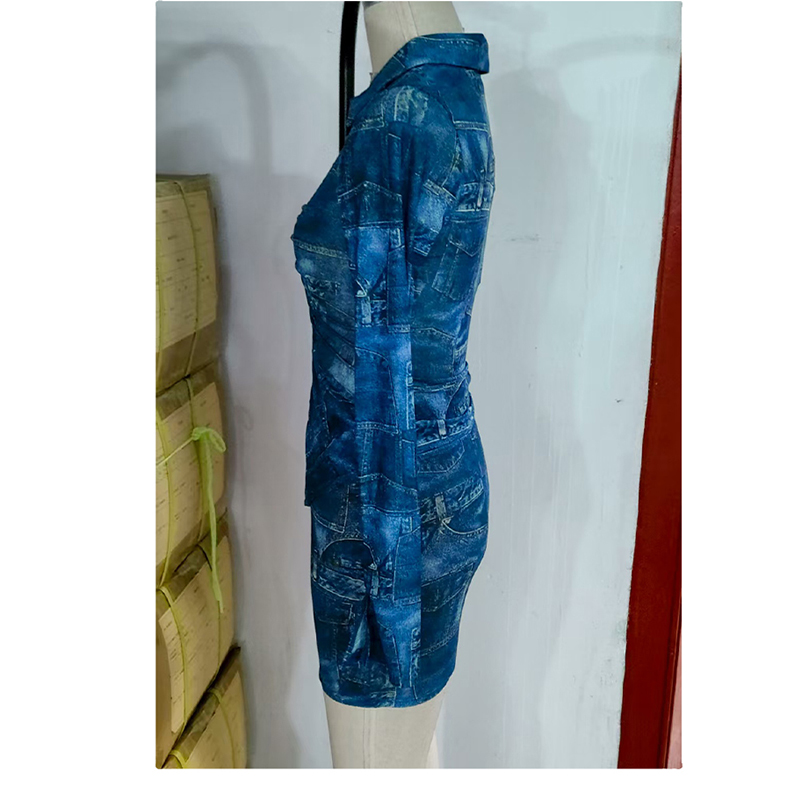 Women's Long Sleeve Denim - Print Bodycon Shirt Dress