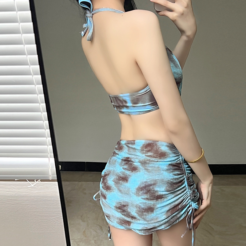 Melard Bikini Sexy Two-Piece Pure Desire Style Small Chest Push-Up Tummy Covering Vacation Hot Spring Swimsuit Three-Piece Set