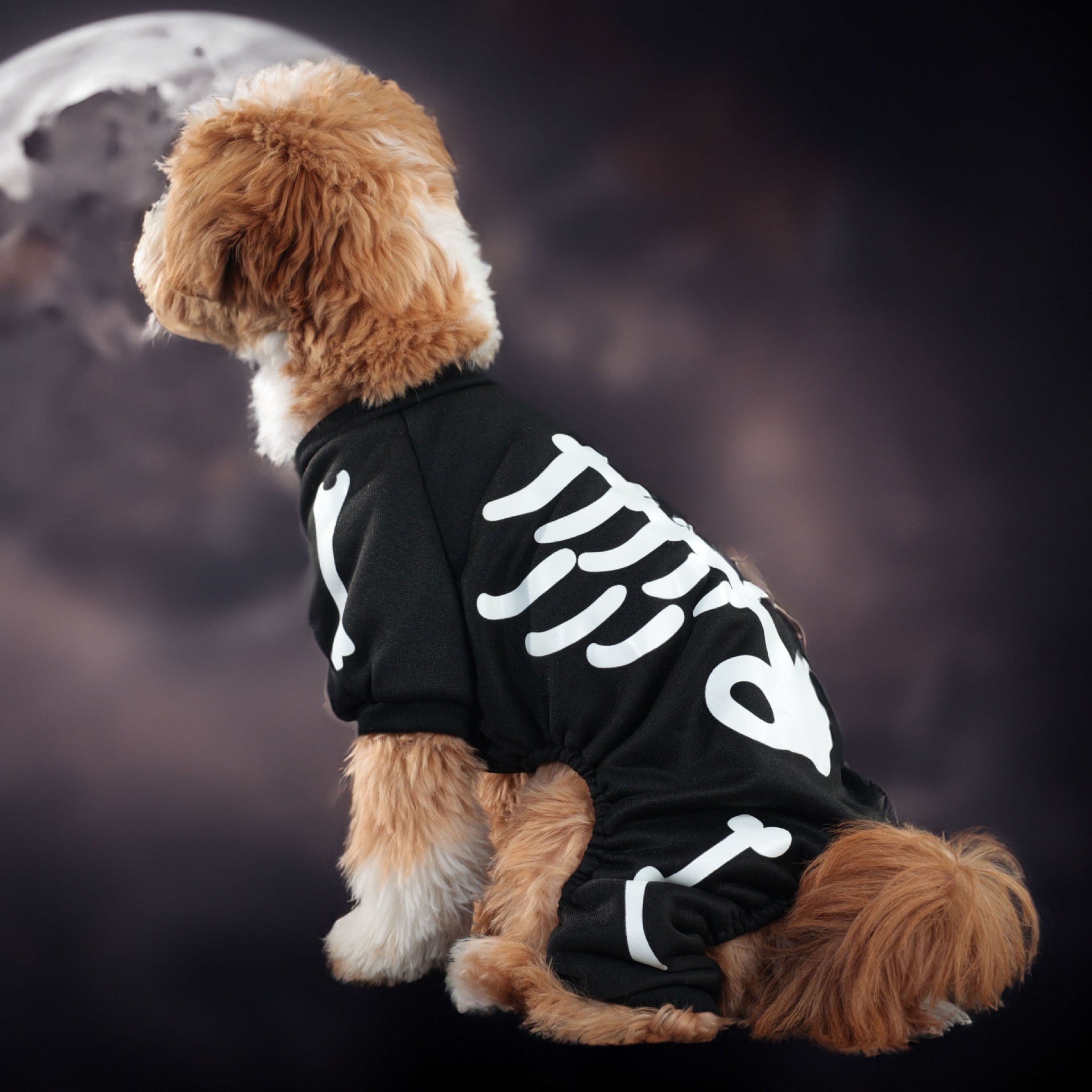Halloween Glow-in-the-Dark Skeleton Dog Onesie, Pet Jumpsuit with Luminous Skull Print, for Dogs 1.5-8kg, Perfect for Halloween Parties, Festive Event