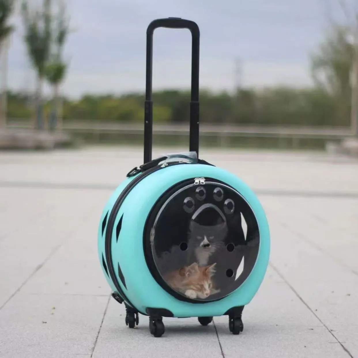 Pet suitcase, transparent cat bag pet carrier portable outdoor box, cat and dog bag cart, small pet suitcase
