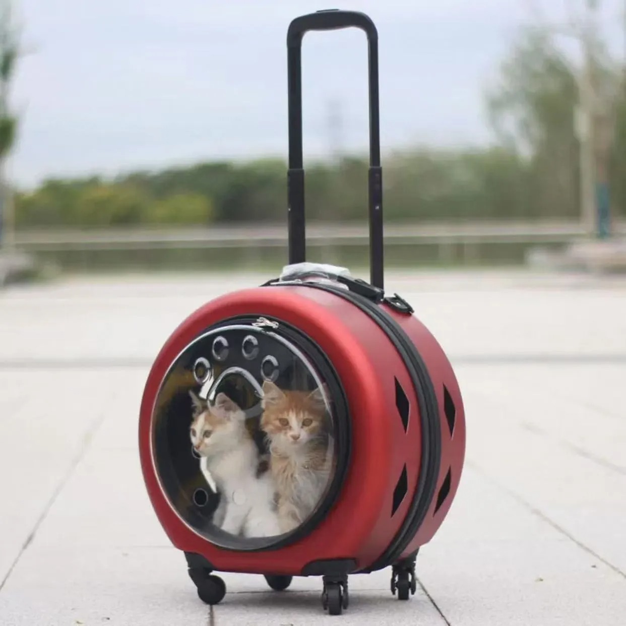 Pet suitcase, transparent cat bag pet carrier portable outdoor box, cat and dog bag cart, small pet suitcase