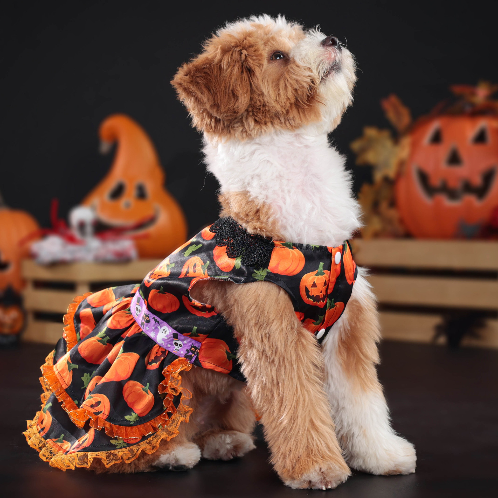 Halloween Pumpkin Print Dog Dress with Lace Trims, Festive Party Costume for Dogs, 4 Sizes (S-XL) for Dogs 2-14kg, Perfect for Halloween Parties, Them