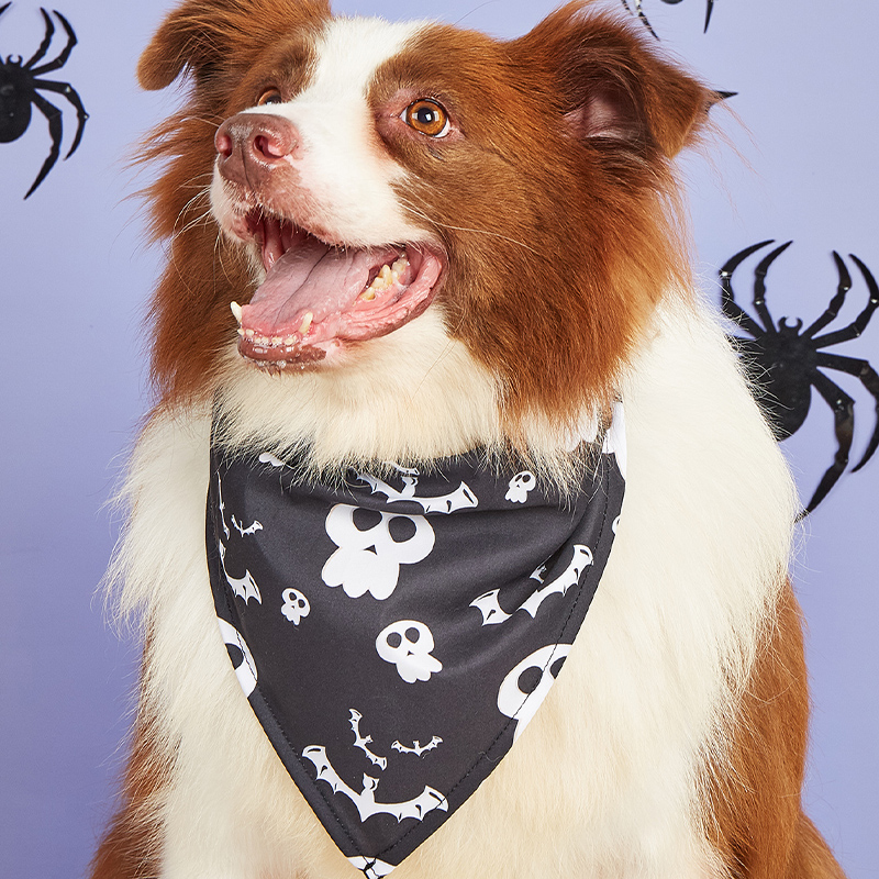 Cute Comfortable Canine Apparel Unique Ghost Bib for Festive Occasions