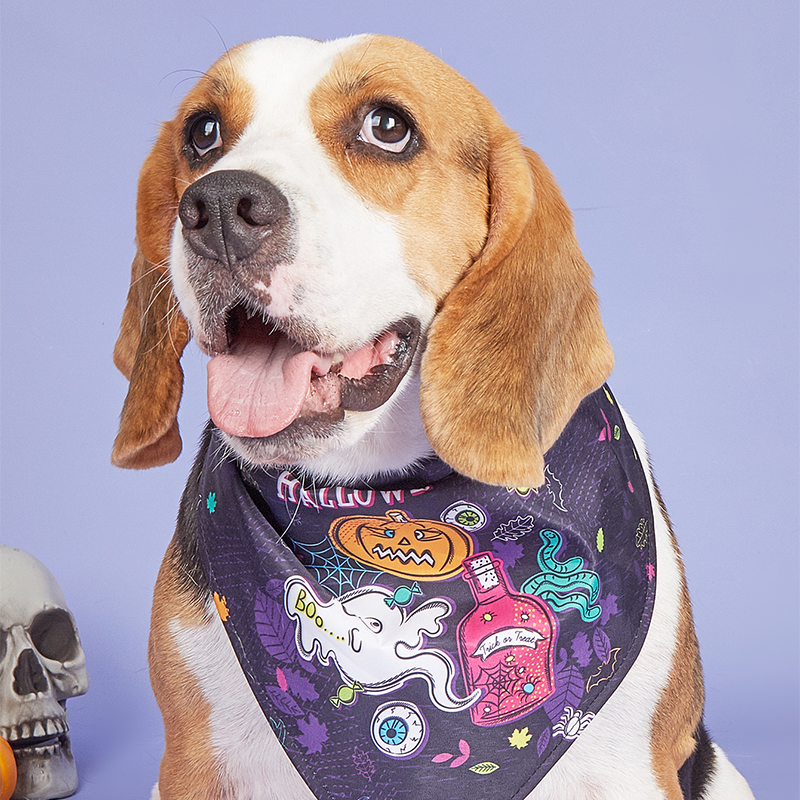 Cute Creepy Costume for Your Pooch Fall Inspired Animal Patterned Puppy Bib