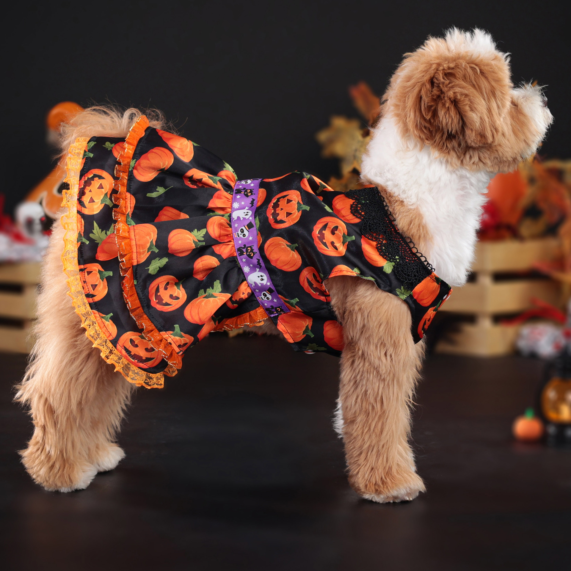 Halloween Pumpkin Print Dog Dress with Lace Trims, Festive Party Costume for Dogs, 4 Sizes (S-XL) for Dogs 2-14kg, Perfect for Halloween Parties, Them