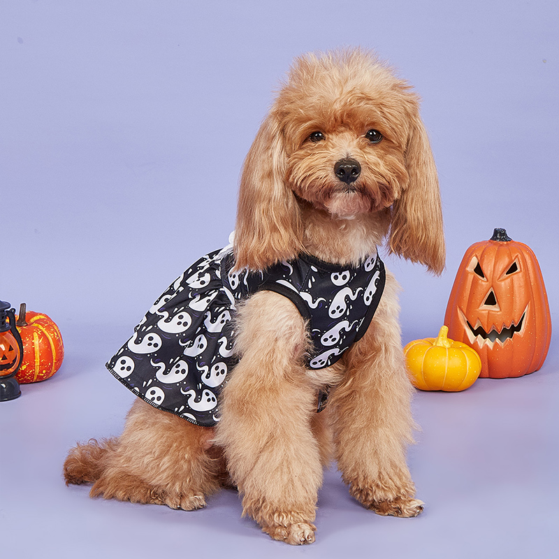 Halloween Ghost Print Skirt for Pets Designed Just for Your Beloved Dog