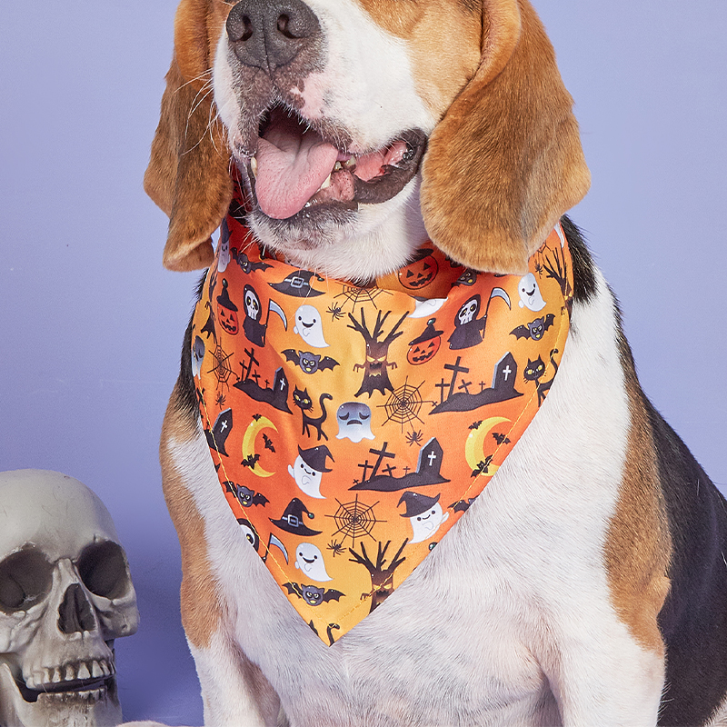 Halloween Orange Ghost Bib Festive Pet Fashion Spooktacular Orange Ghost Plush Bib