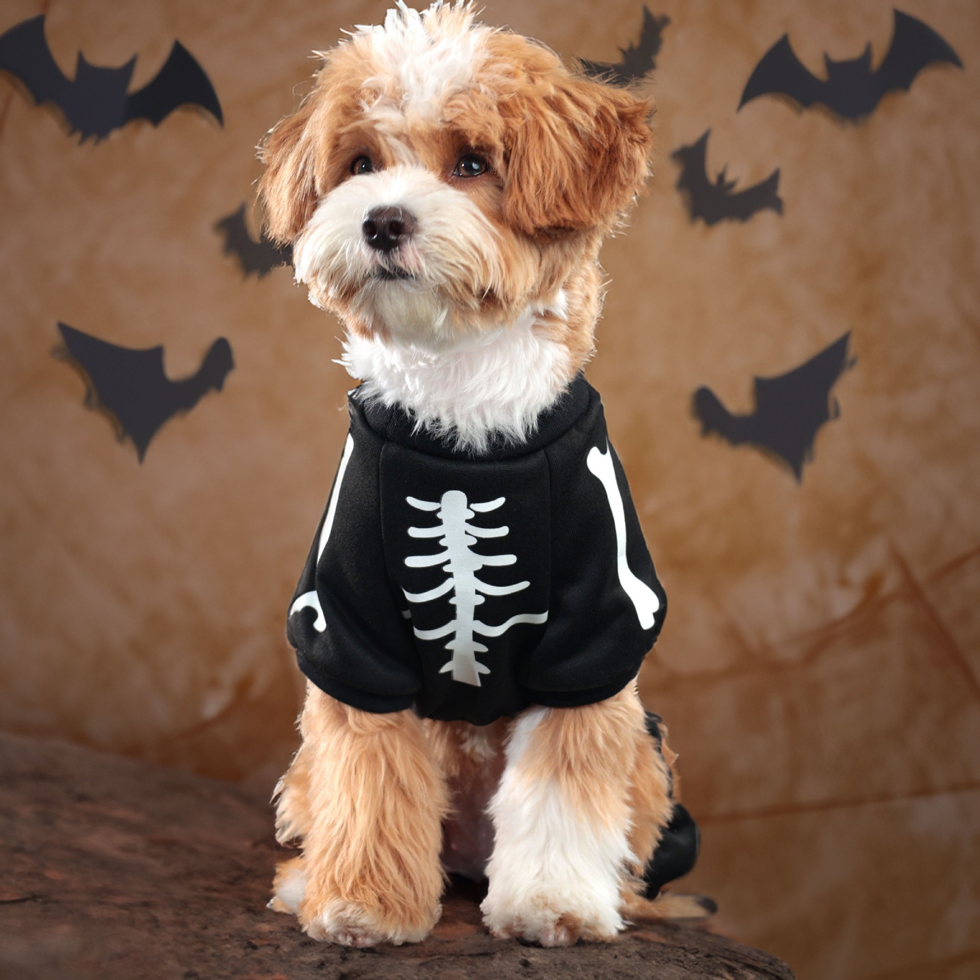 Halloween Glow-in-the-Dark Skeleton Dog Onesie, Pet Jumpsuit with Luminous Skull Print, for Dogs 1.5-8kg, Perfect for Halloween Parties, Festive Event