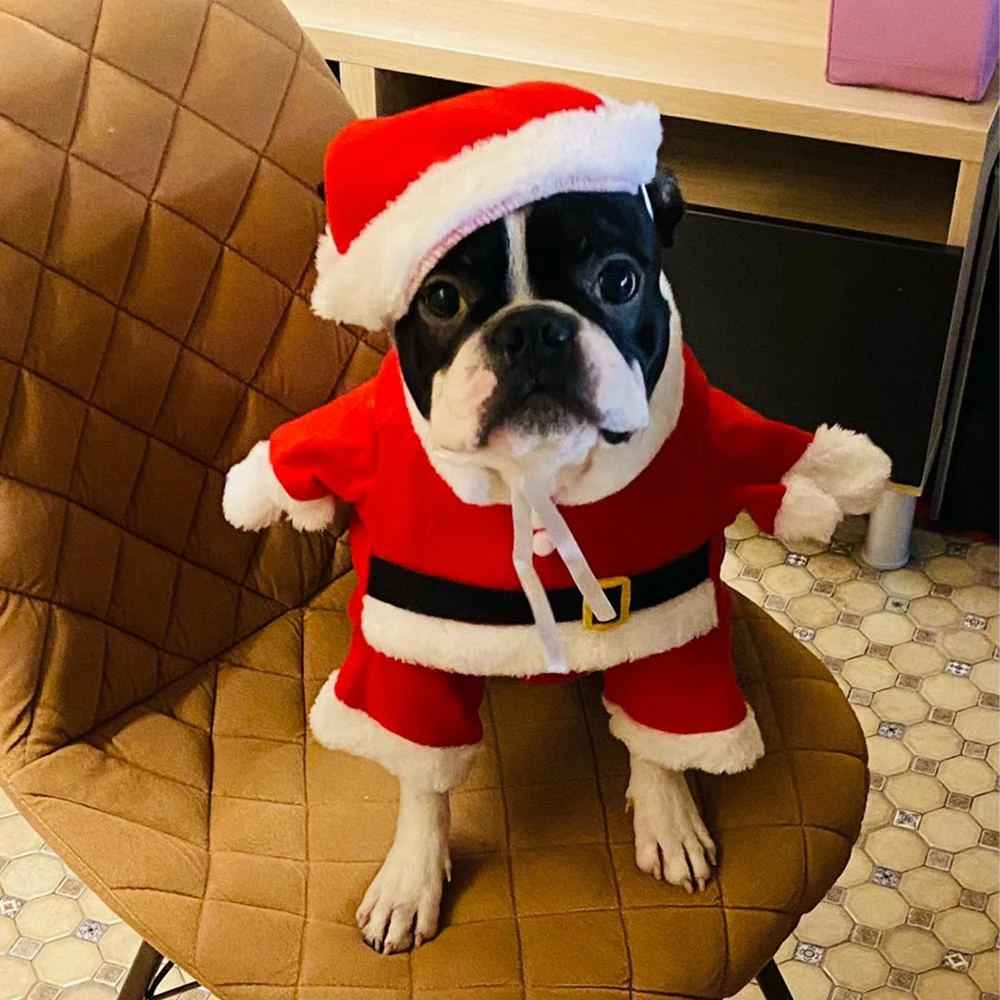 Christmas Clothes for Dogs Cats New Year Santa Claus Costume Puppy Cosplay Clothing Funny Pet Dress Up Suit Holiday Party Outfit E29