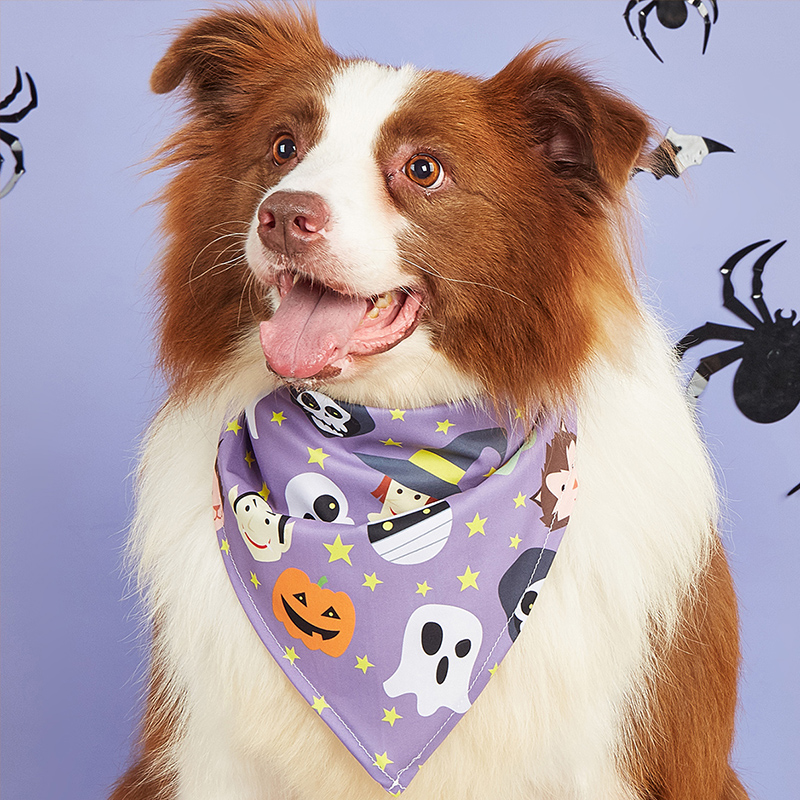 Halloween themed Purple Dog Costume Pet Bib Spooky Pet Bib